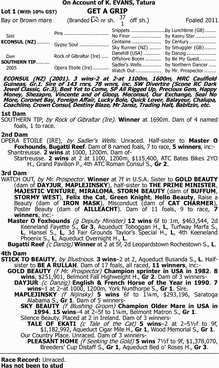Lot Of 17 Thoroughbred Pony Pals Saddle Club Henry Duey Horse Books Scholastic Lot Of 17 Thoroughbred Pony Pals Saddle Club Henry Duey Horse Books Scholastic