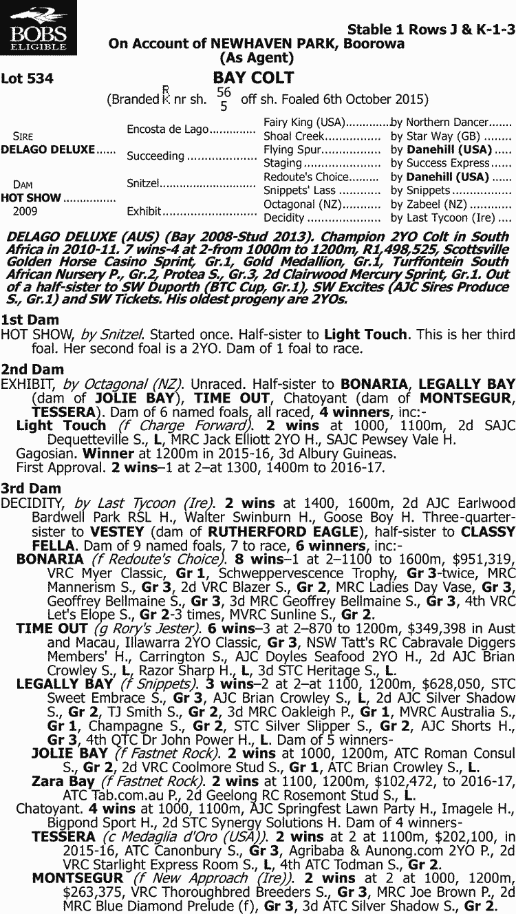 Inglis - 2017 Classic Yearling Sale - Lot 534, Delago Deluxe x Hot Show