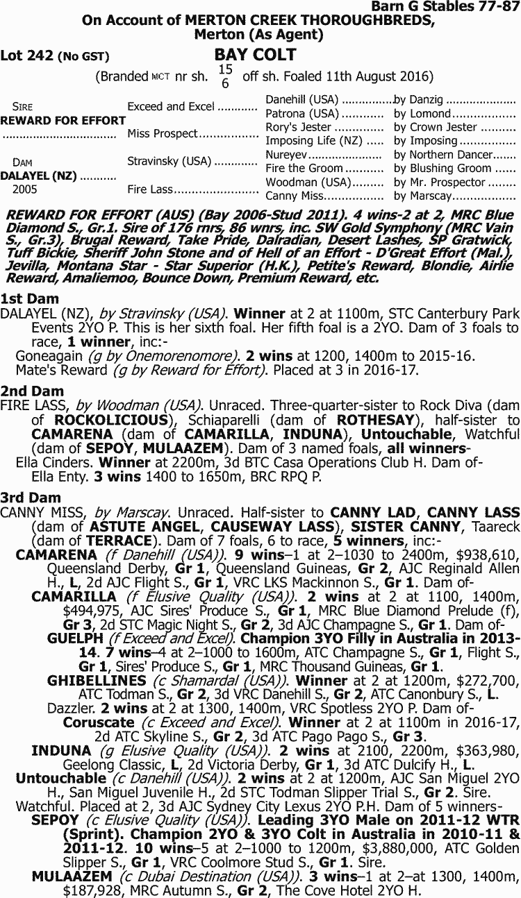 Inglis - 2017 Great Southern Sale - Lot 242, Reward for Effort x Dalayel (NZ)