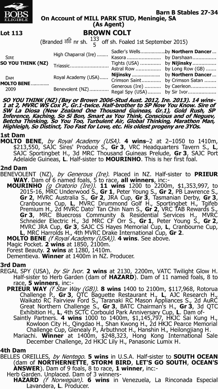 Inglis - 2017 Melbourne Premier Yearling Sale - Lot 113, So You Think (NZ) x Molto Bene