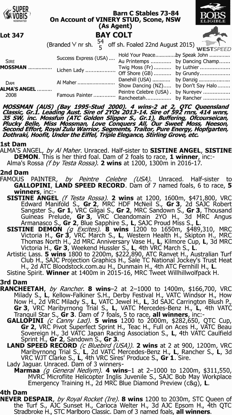 Inglis - 2017 Melbourne Premier Yearling Sale - Lot 347, Mossman x Alma's Angel