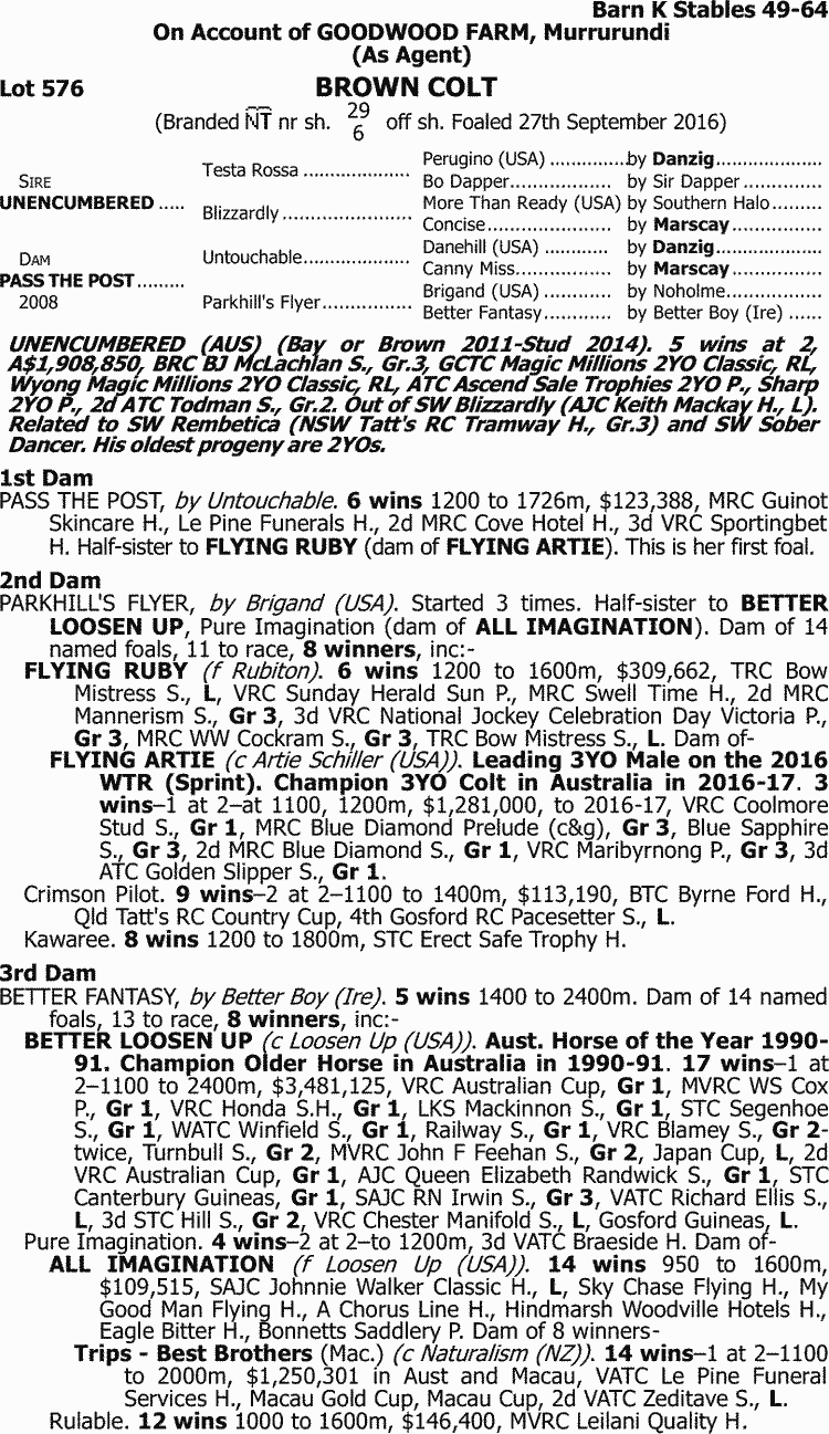 inglis 2018 classic yearling sale lot 576 unencumbered x pass pure romance winter 2016 sale flyers