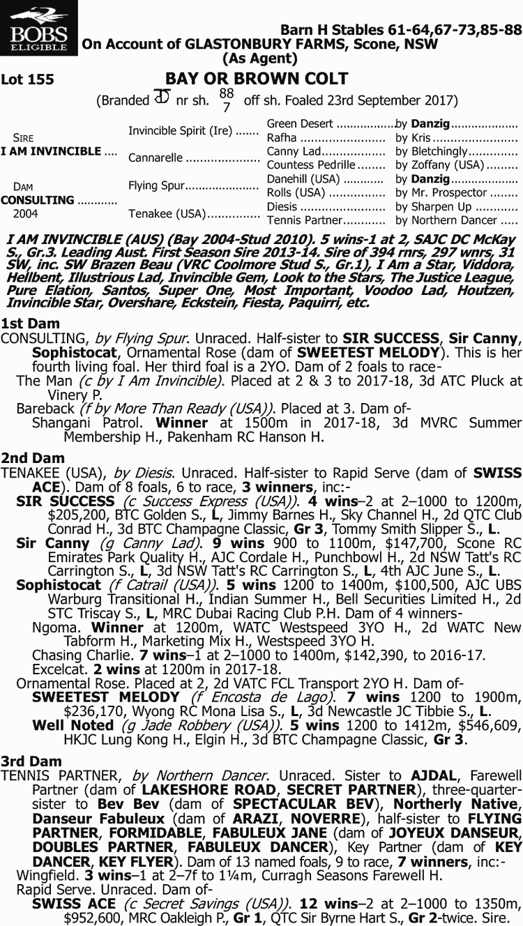 Inglis 2018 Great Southern Sale Lot 155, I Am Invincible x Inglis 2018 Great Southern Sale Lot 155, I Am Invincible x I 16b377