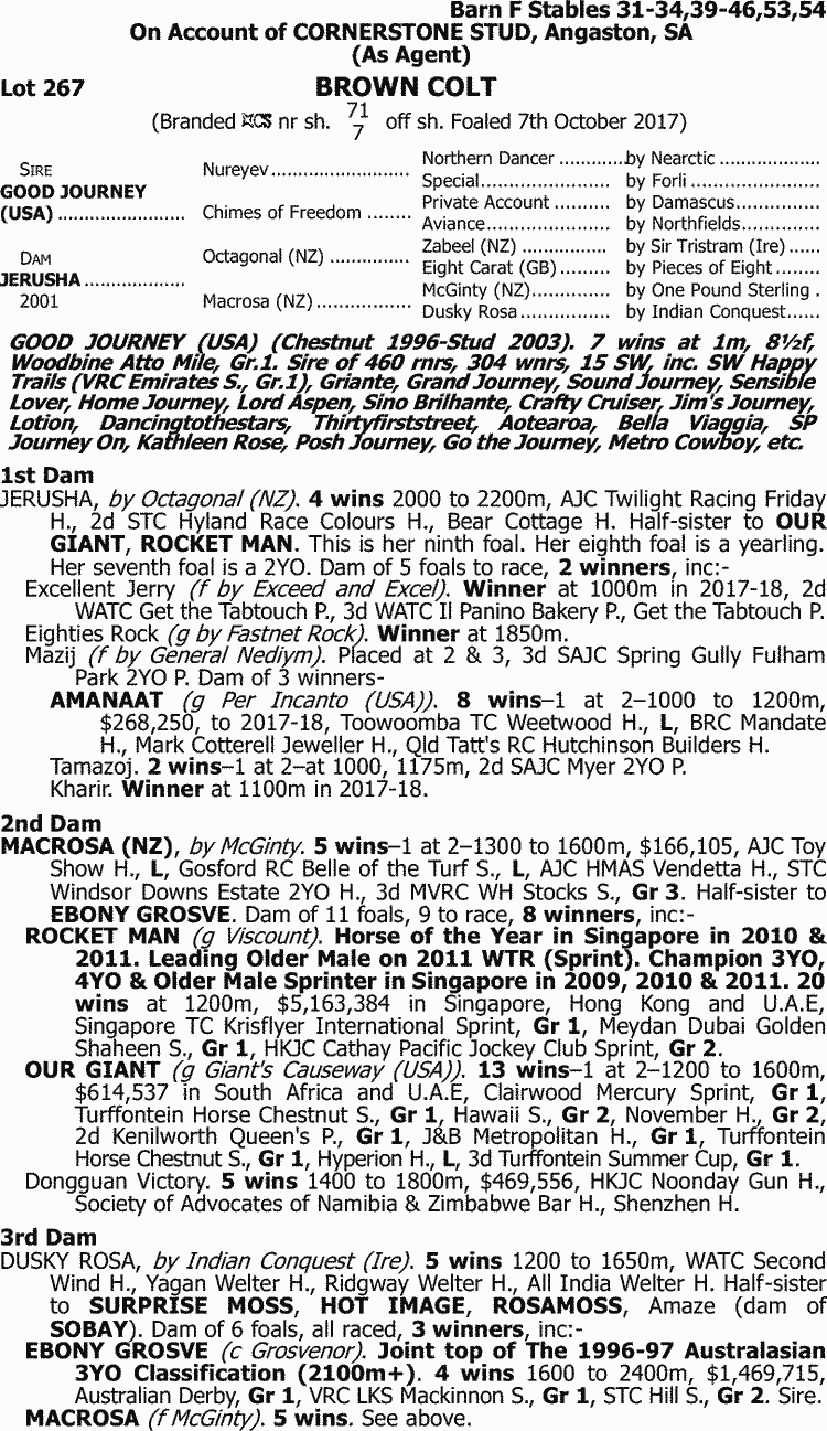 Inglis - 2018 Great Southern Sale - Lot 267, Good Journey (USA) x Jerusha