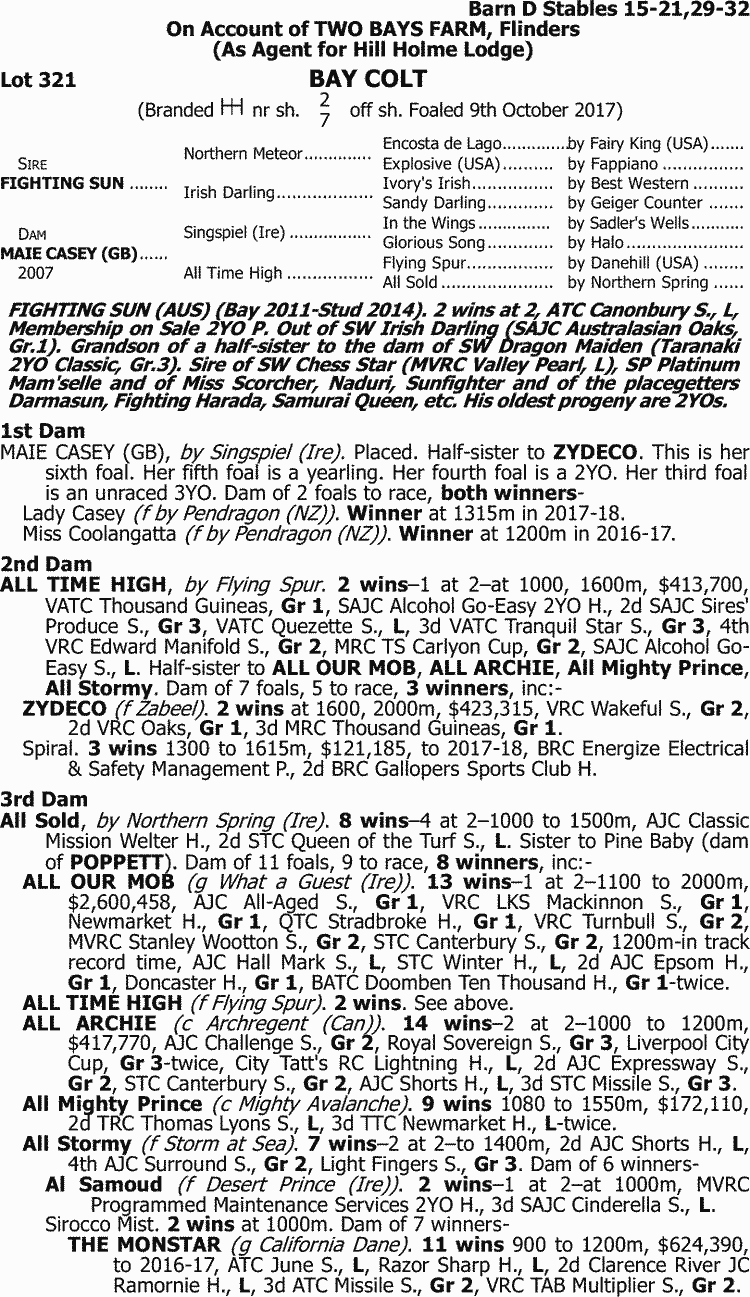 Inglis 2018 Great Southern Sale Lot 321 Fighting Sun X Maie