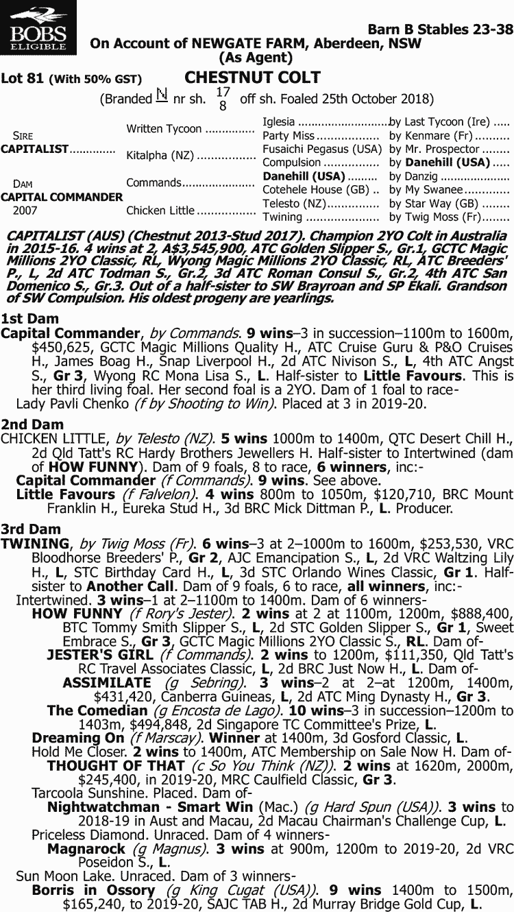 Inglis 2020 Melbourne Premier Yearling Sale Lot 81 Capitalist