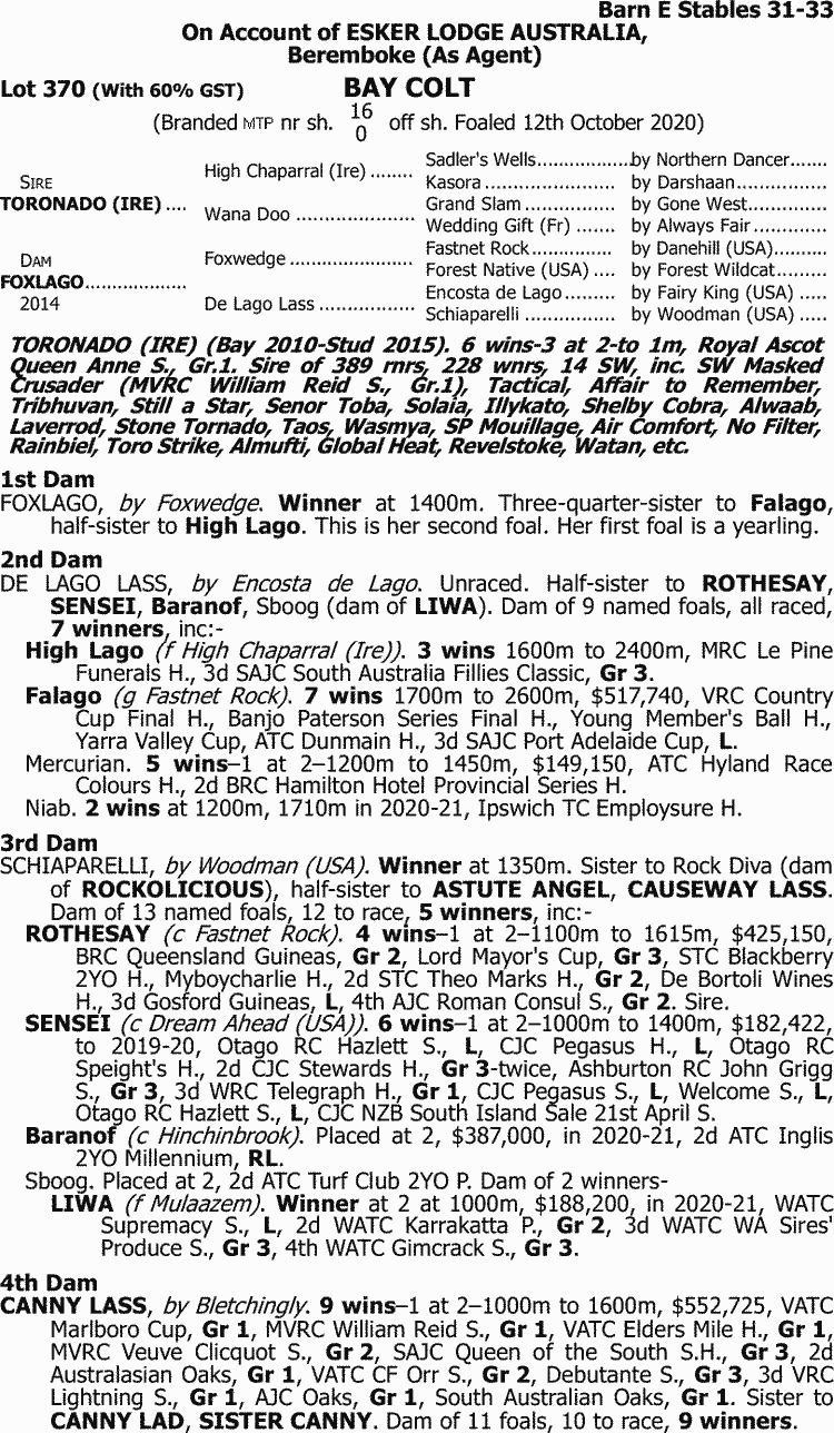 Inglis 21 Great Southern Weanling Sale Lot 370 Toronado Ire X Foxlago