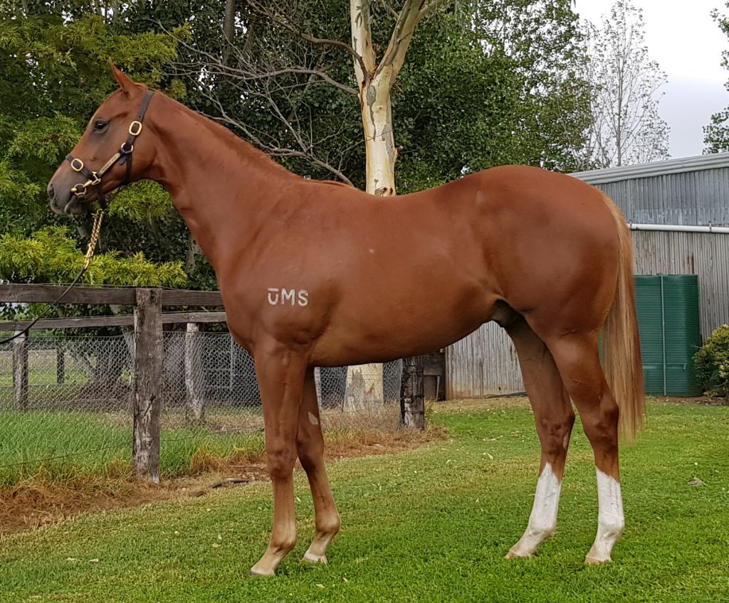 Click to view gallery