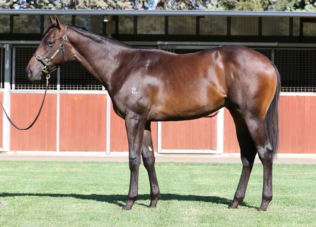 Click to view gallery