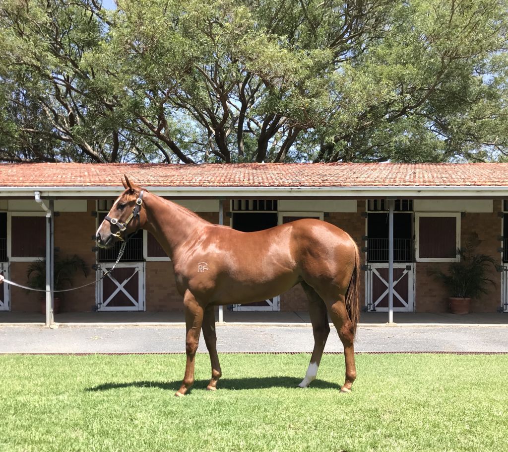 Click to view gallery