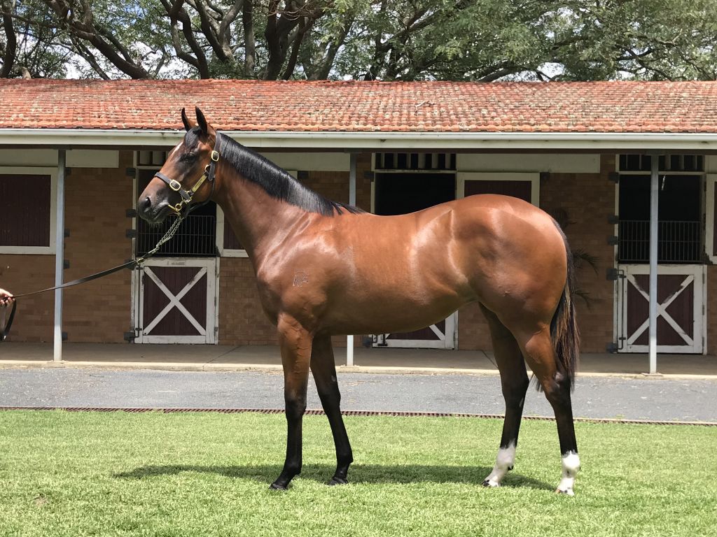 Click to view gallery