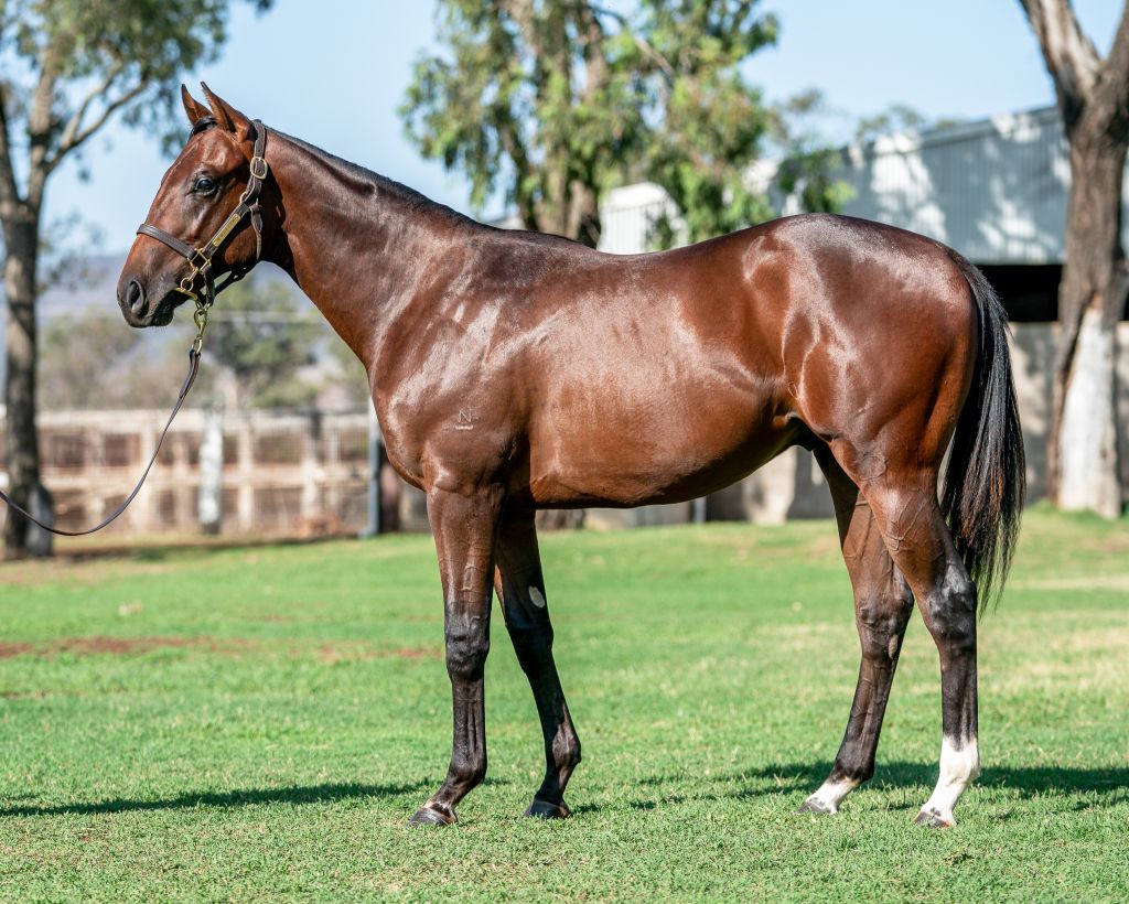 Click to view gallery