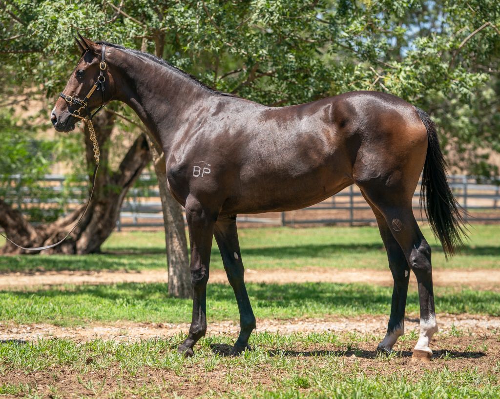 Click to view gallery