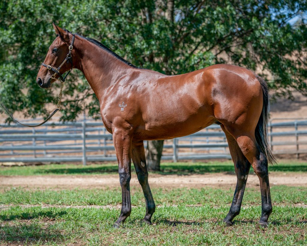 Click to view gallery