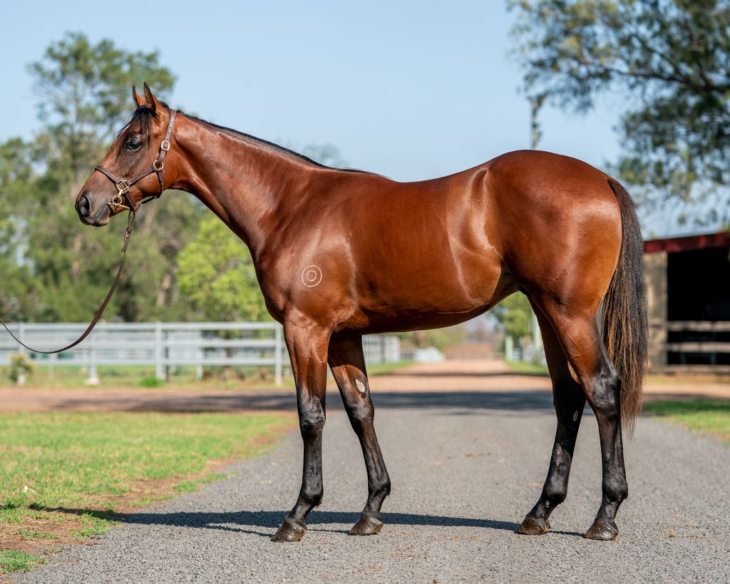 Click to view gallery