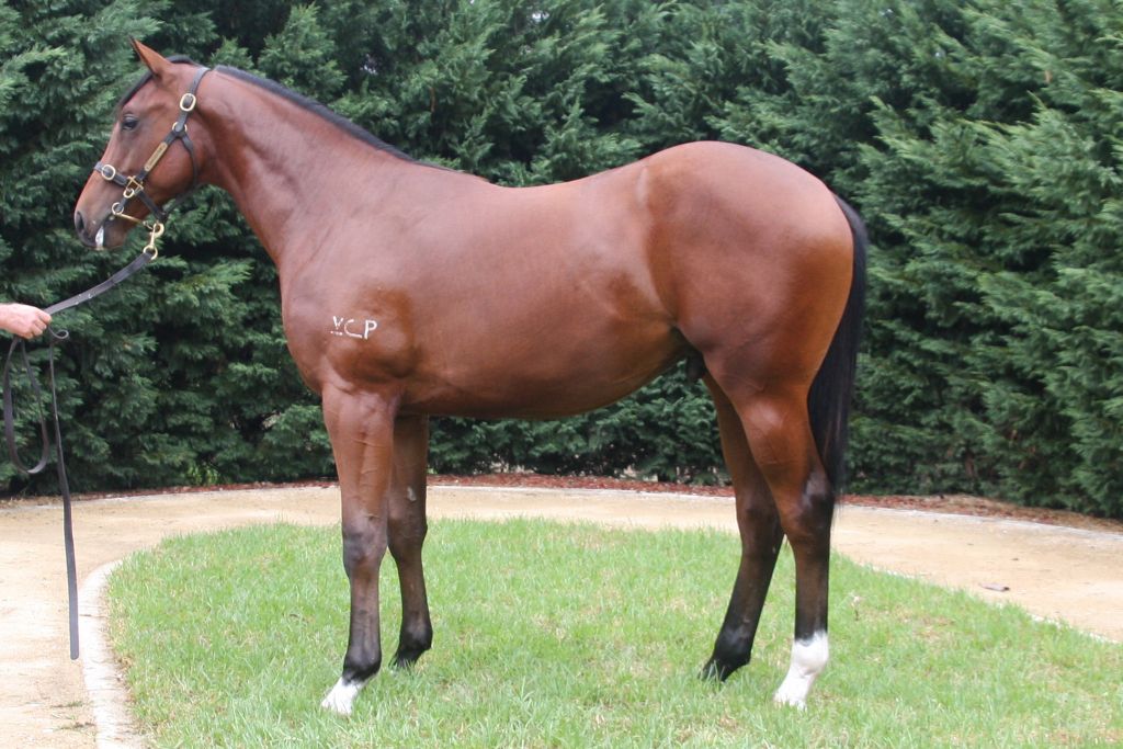 Click to view gallery