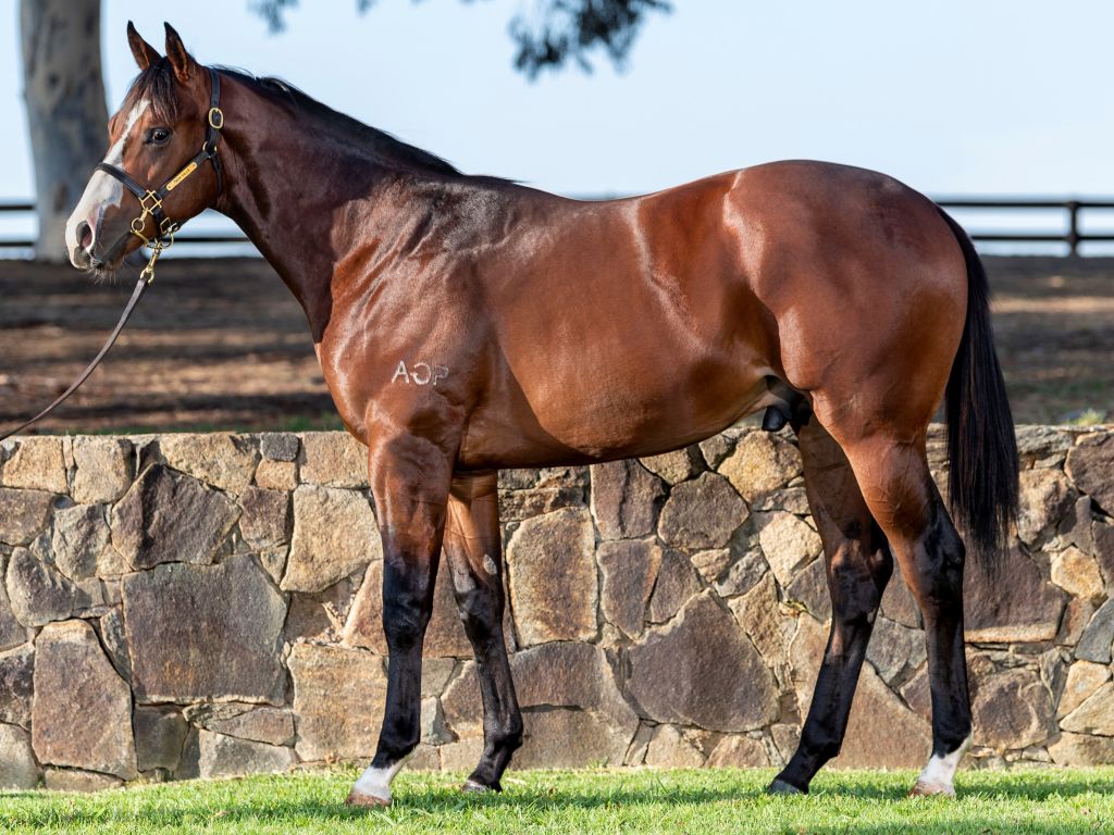 Click to view gallery