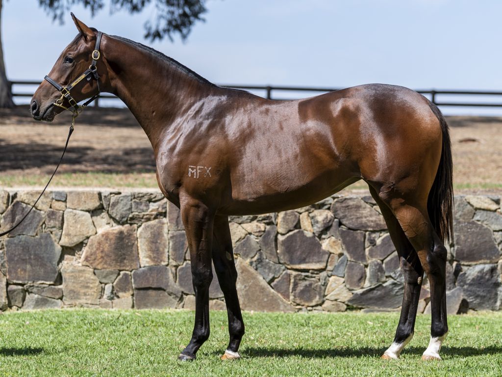 Click to view gallery