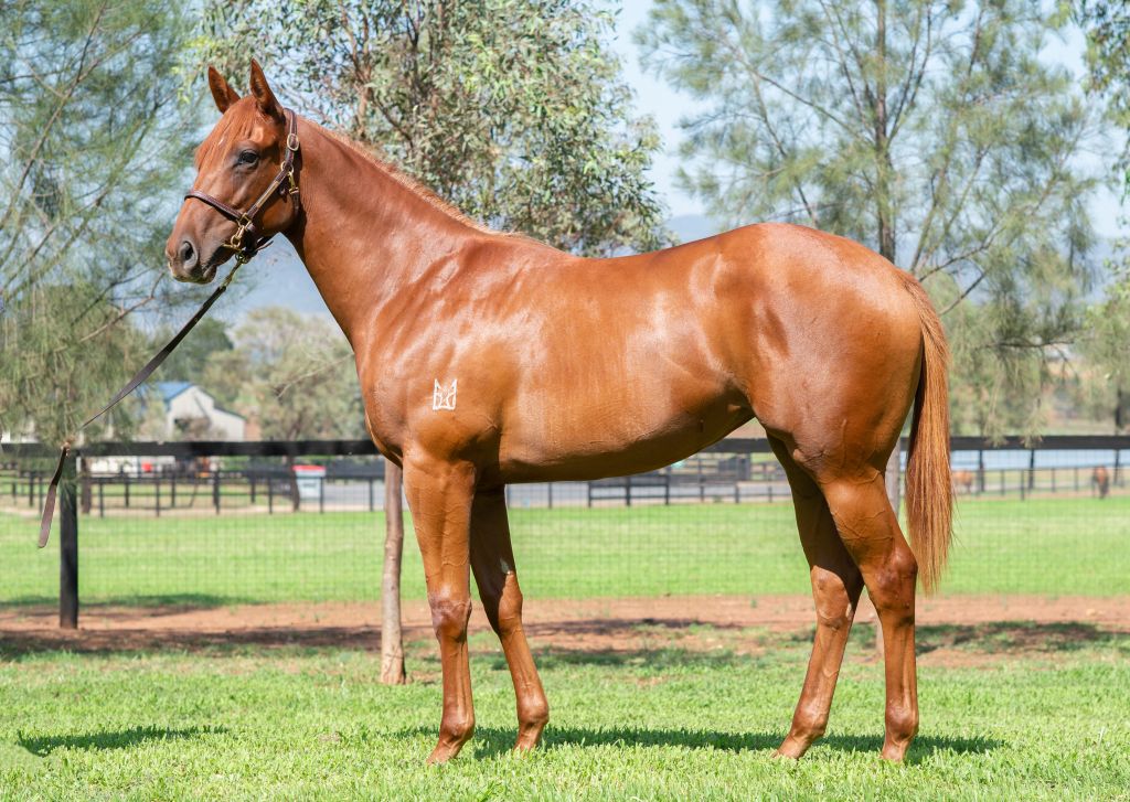 Click to view gallery