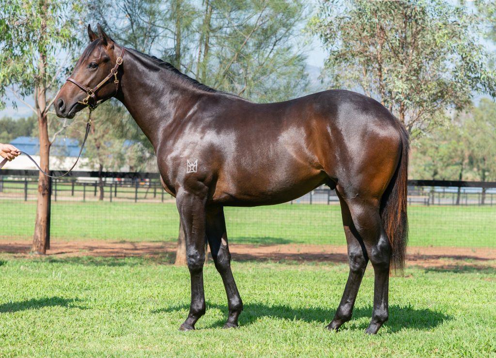 Click to view gallery