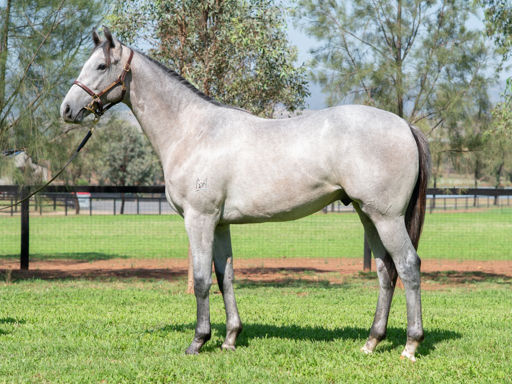 Click to view gallery