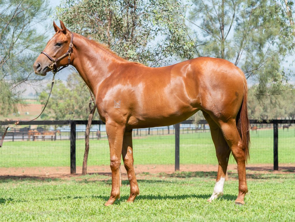 Click to view gallery