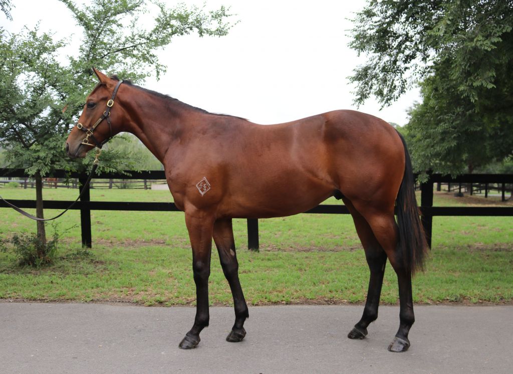 Click to view gallery