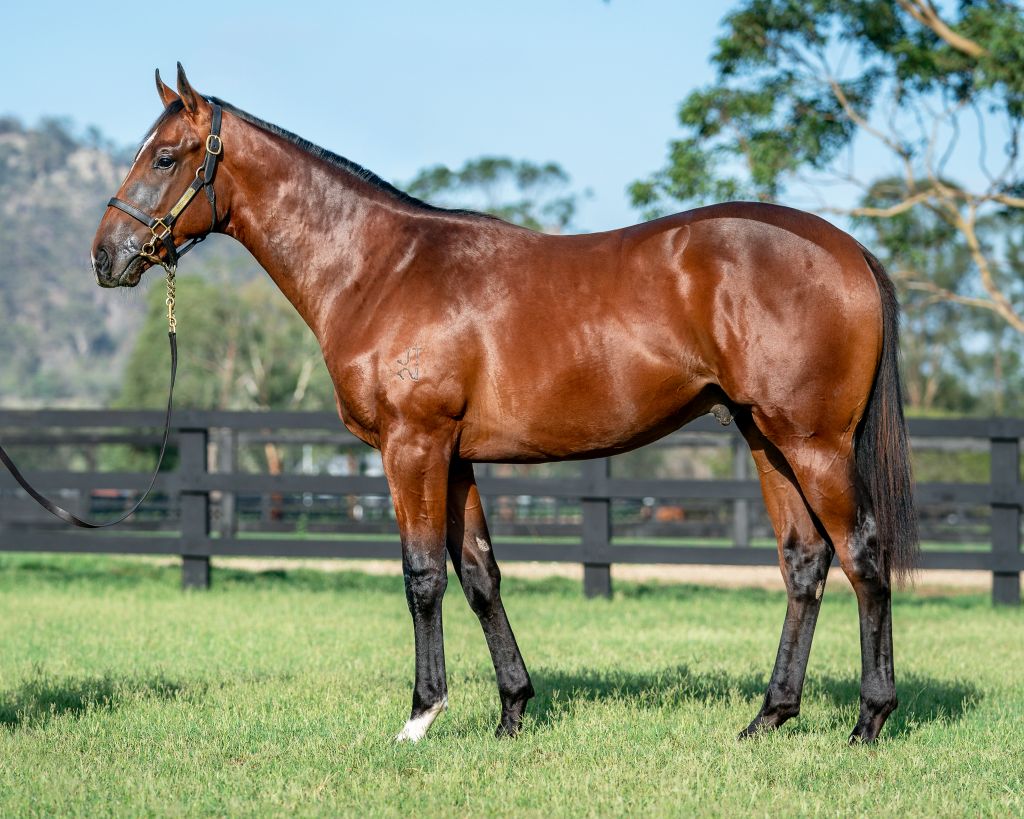 Click to view gallery