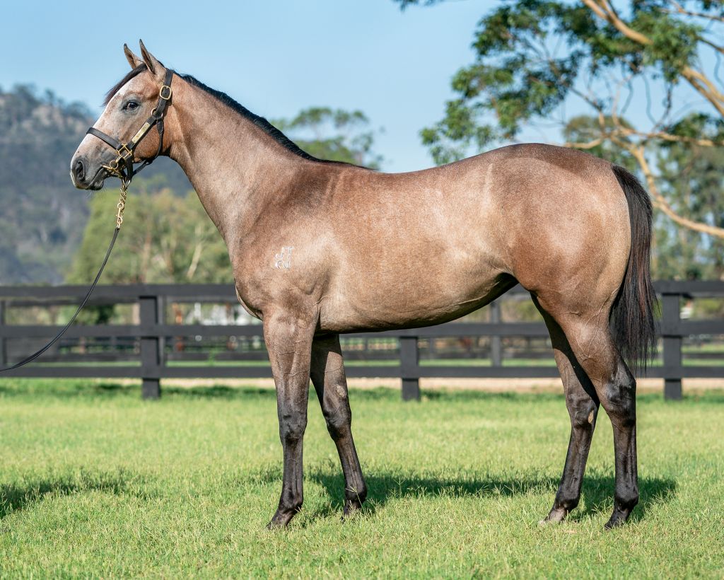 Click to view gallery