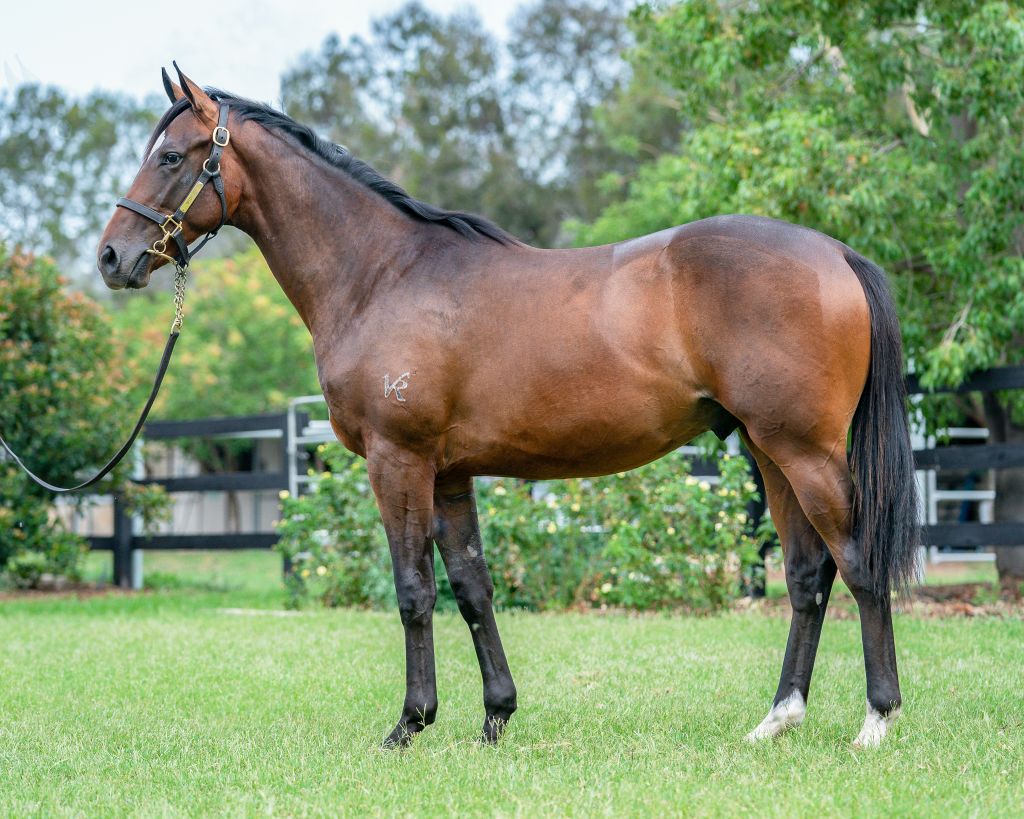 Click to view gallery