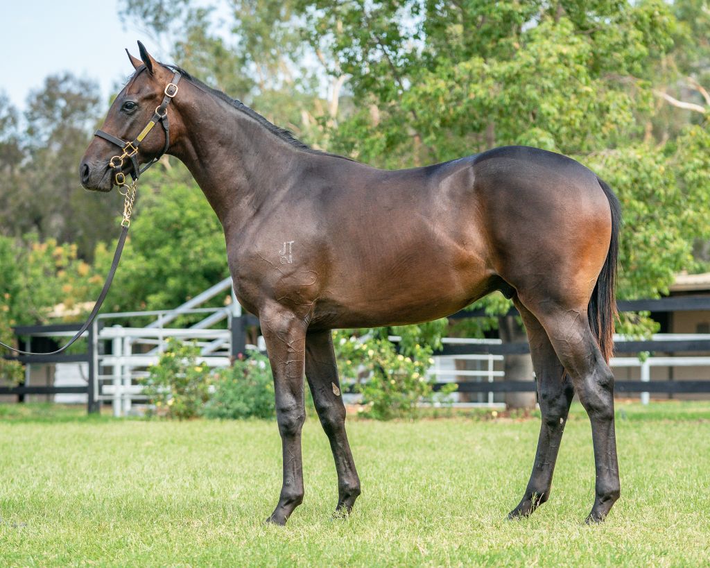 Click to view gallery