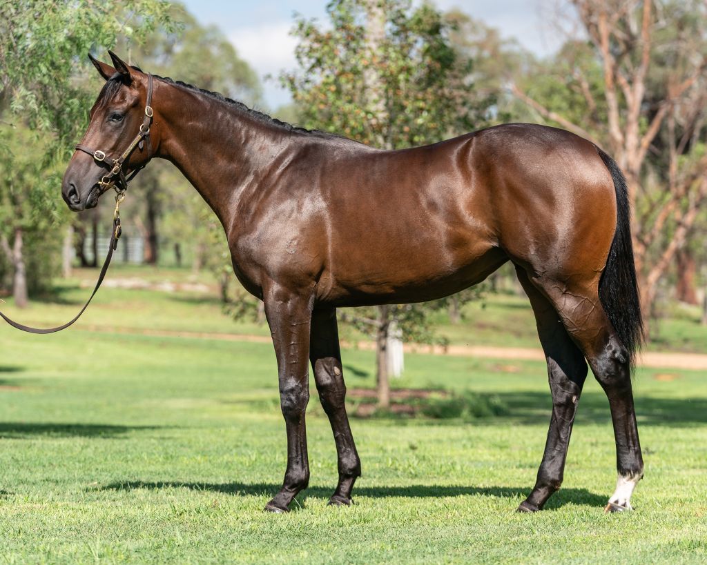 Click to view gallery