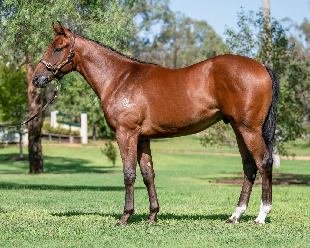 Click to view gallery