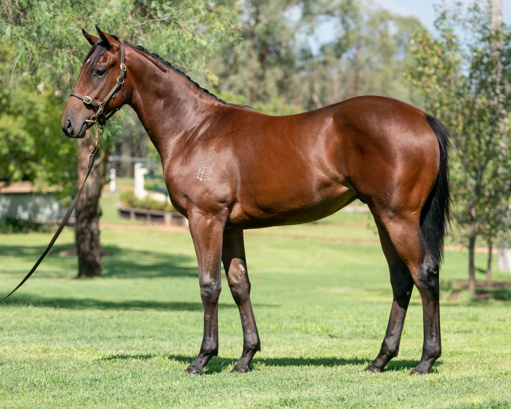 Click to view gallery