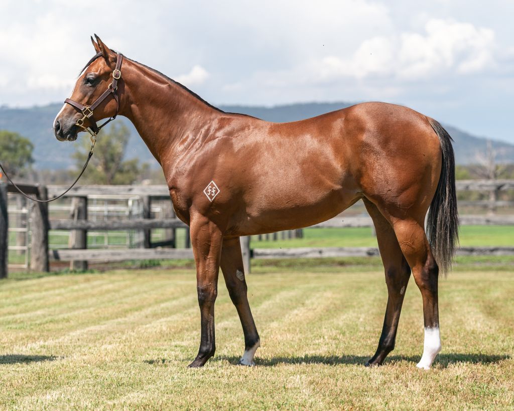 Click to view gallery