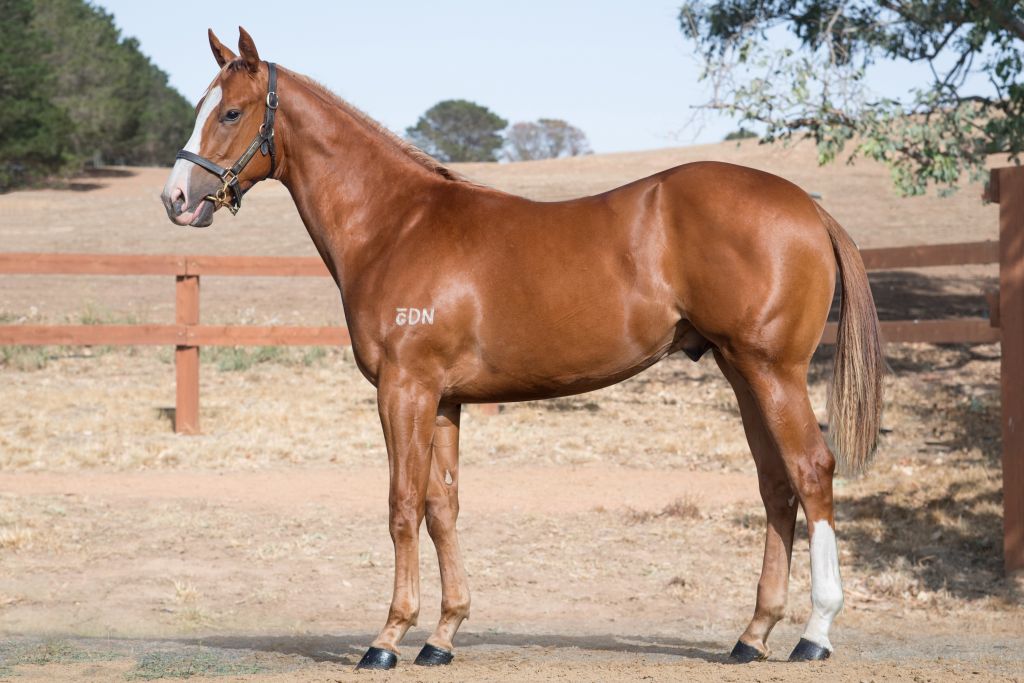 Click to view gallery