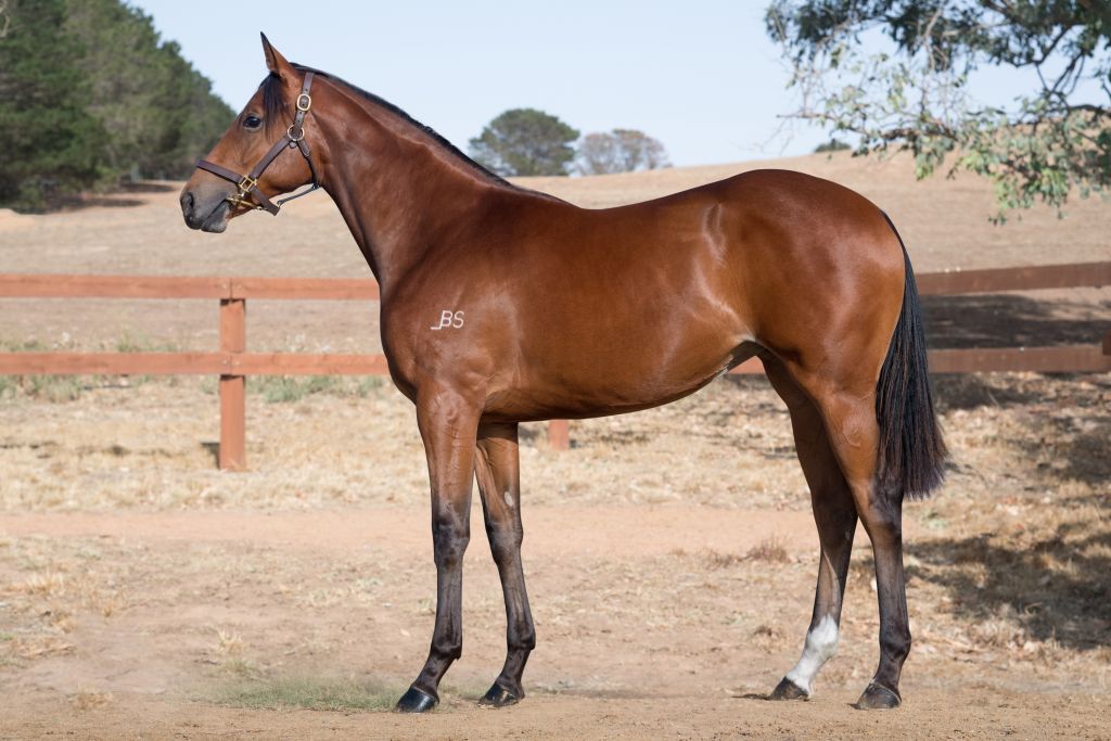 Click to view gallery