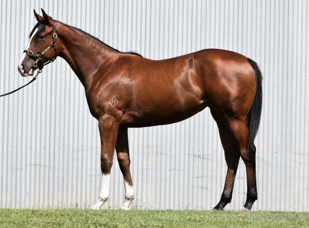 Click to view gallery