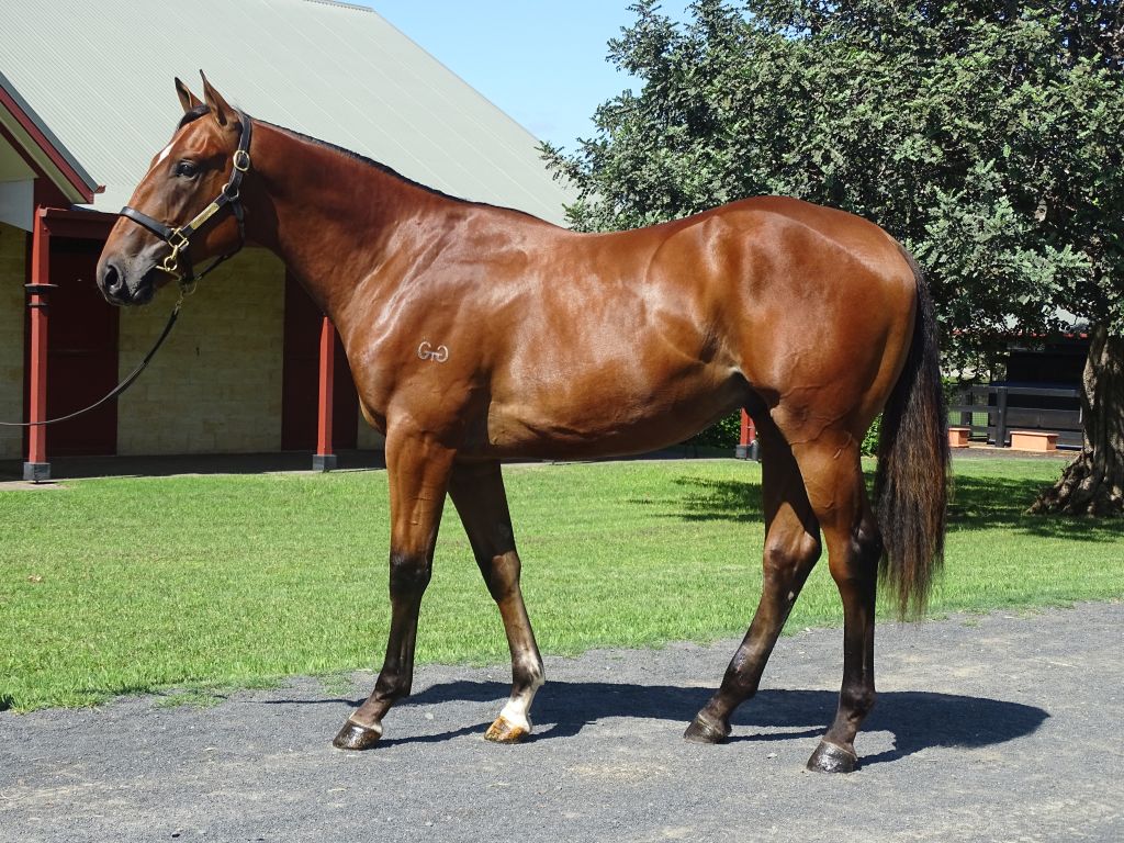 Click to view gallery