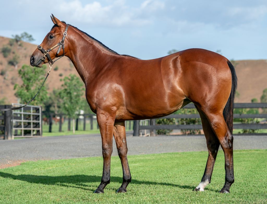 Click to view gallery