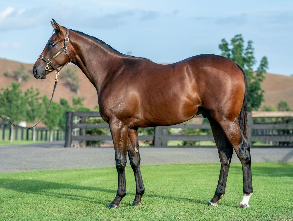 Click to view gallery