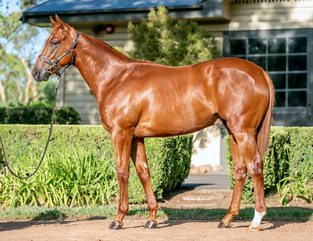 Click to view gallery