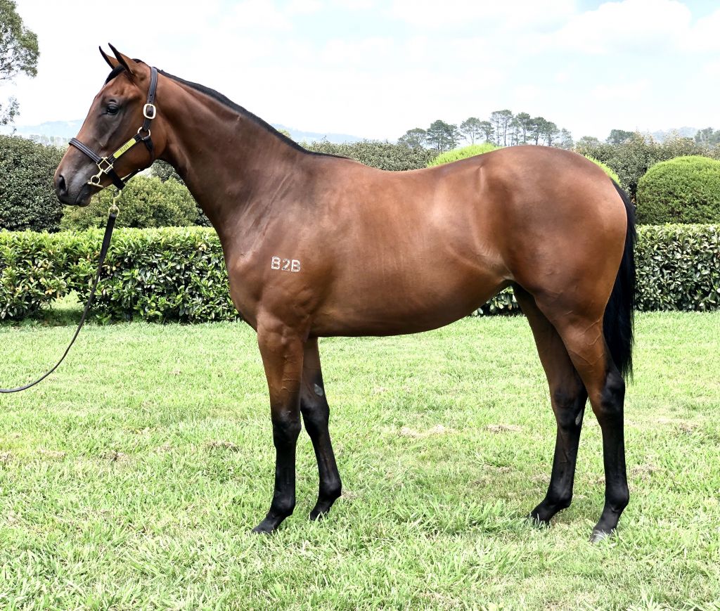 Click to view gallery