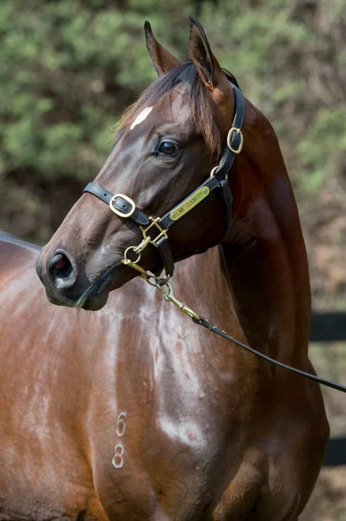 Click to view gallery