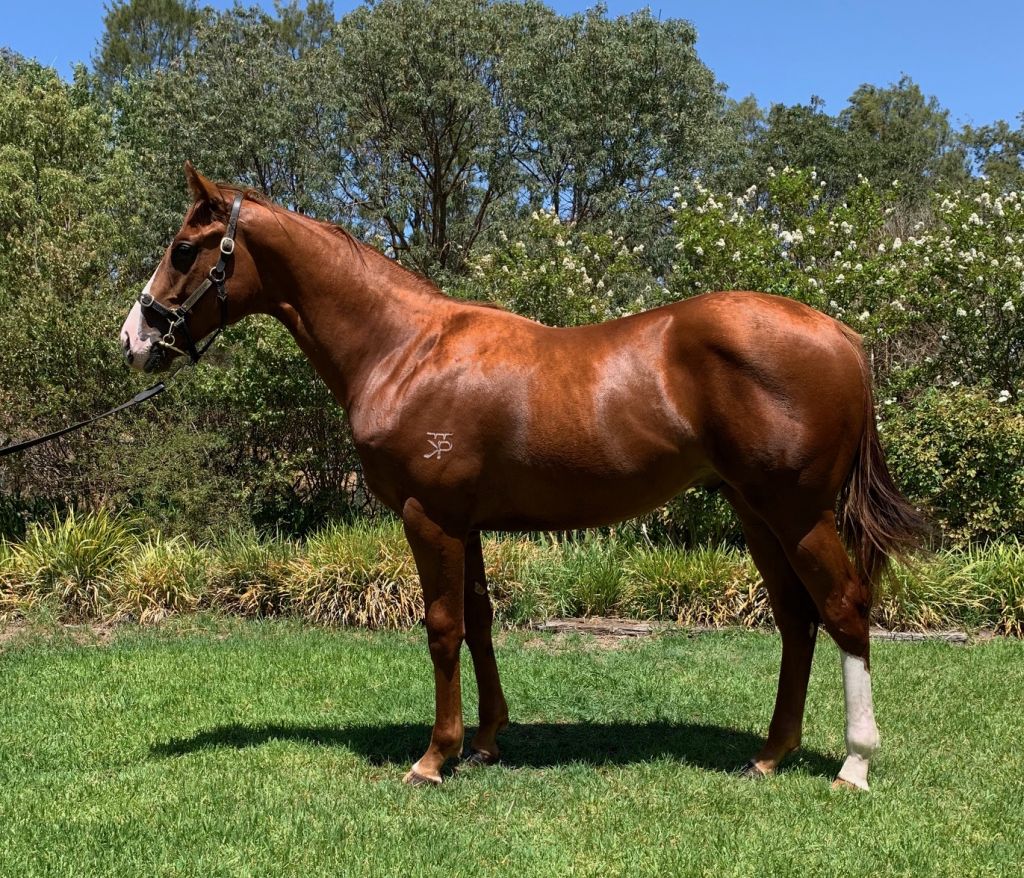 Click to view gallery