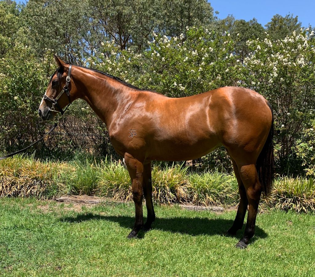 Click to view gallery