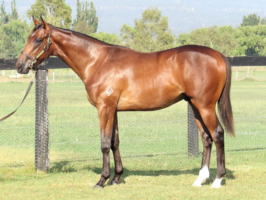 Click to view gallery