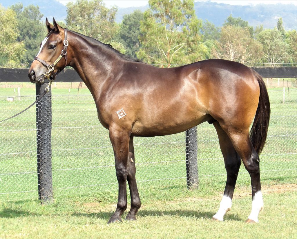 Click to view gallery