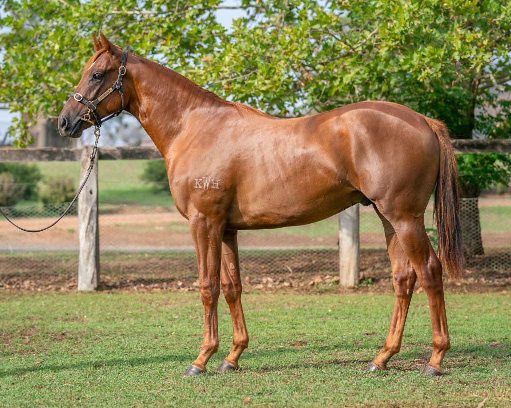 Click to view gallery