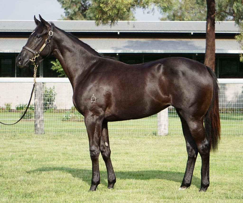 Click to view gallery